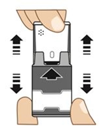 Figure B (Auvi Q 12)