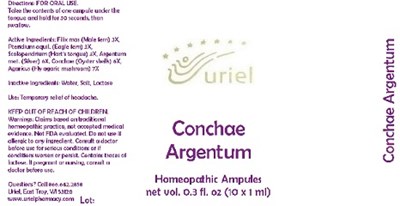 Conchaeargentumampules (Conchaeargentumampules)