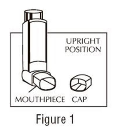 Figure 1 (29d24a6d F9c1 4300 97c7 Fec26bdbc22b 02)