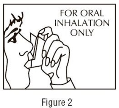 Figure 2 (29d24a6d F9c1 4300 97c7 Fec26bdbc22b 03)