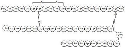Chemical Structure - afrezza 03