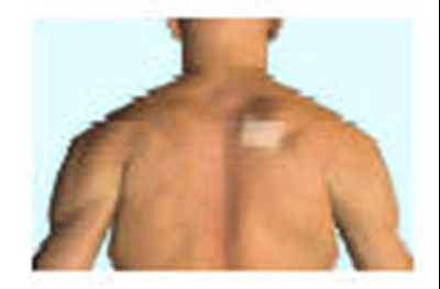 Figure 2 (Fts 05)
