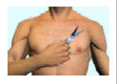 Figure 5 (Fts 08)