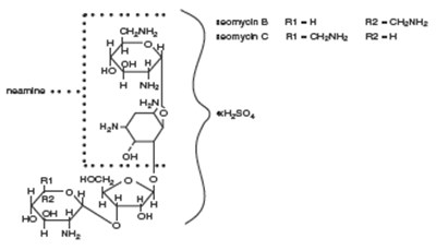 Neomycin Sulfate (structural Formula) (2a1d77e9 C706 4d9b 9745 E93ef4919c8a 02)