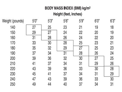 bmi index - figure 12 bmi index