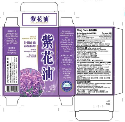 Image Description (Zihuaembrctnlbl)