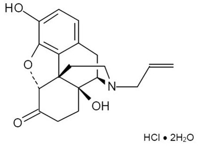 buprenorphine and naloxone sublingual tablets 2