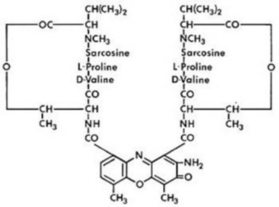 Structural Formula Of Dactinomycin (Dac00 0002 01)