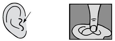 Step 4 Image 1 (Ofl05 0000 05)