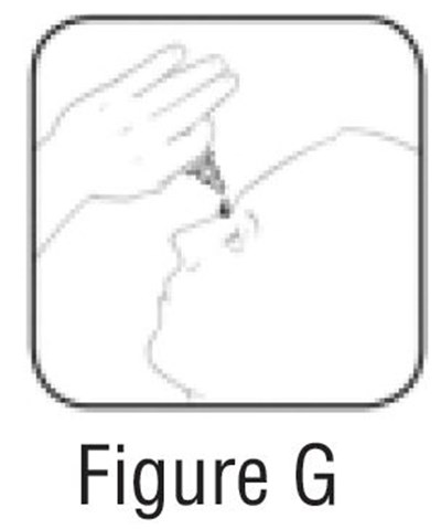 Figure G (Ef3792bb 0d03 450c B4fa 53fbaae49bd5 08)