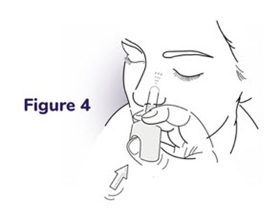 Figure 4 (Nayzilam 07)