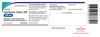 ciprofloxacin-fig2.jpg PACKAGE LABEL-PRINCIPAL DISPLAY PANEL - 500 mg (30 Tablets Bottle) - ciprofloxacin fig2