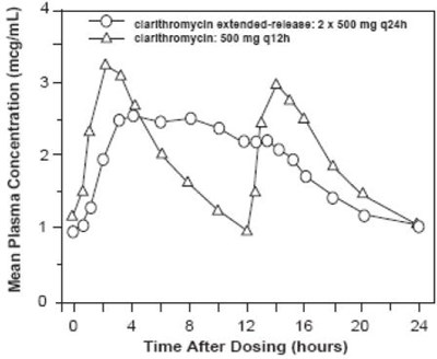 Steady-state Clarithromycin Plasma Concentration-time Profiles (Clarithromycin Extended Release Tablets 2)