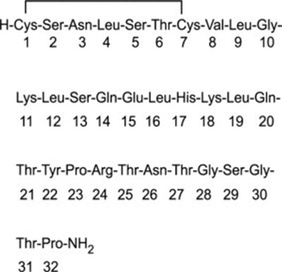 Graphic Formula - cal08 0004 01
