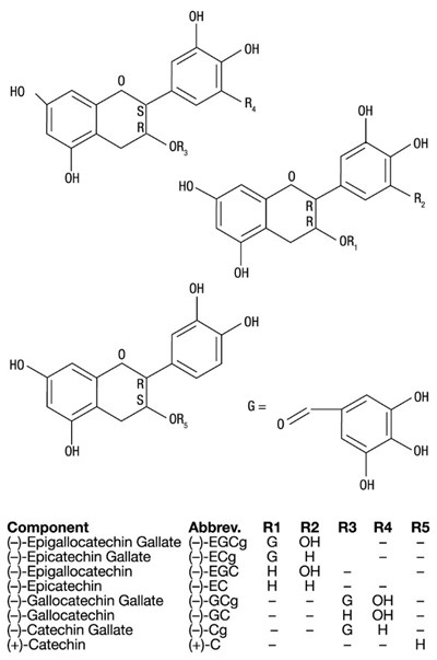 structure - veregen 01
