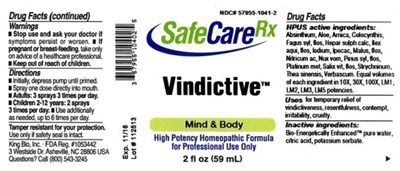 image description - vindictive