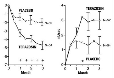 Figure 1 Study 1 (A9fdefac 0145 4d34 Ab25 074bc534afaf 02)