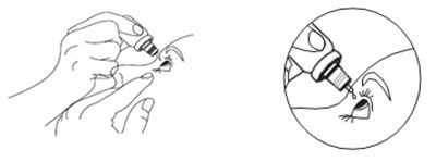 Figure-b (Dorzolamide Timolol Fig2)