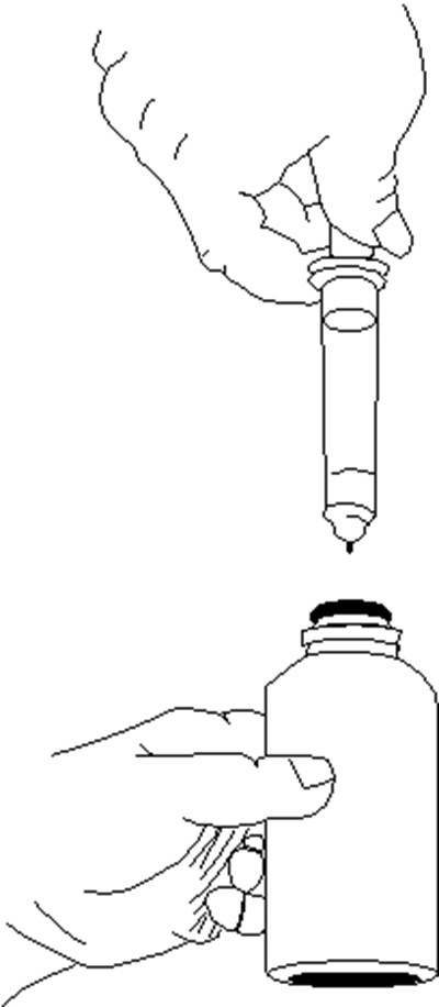 image-07.jpg - image 07