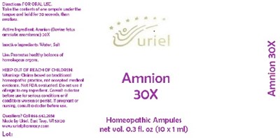 Amnion30ampule (Amnion30ampule)