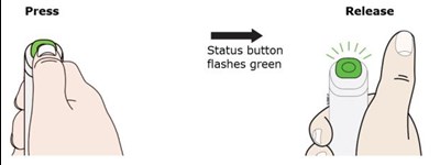 Press And Release The Status Button.  The Status Button Will Start To Flash Green.  You Will Hear A Click When The Injection Starts. (Enbrel 50)