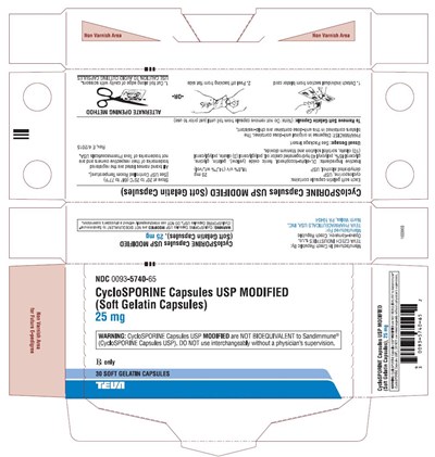 image-3.jpg 1 - image 3
