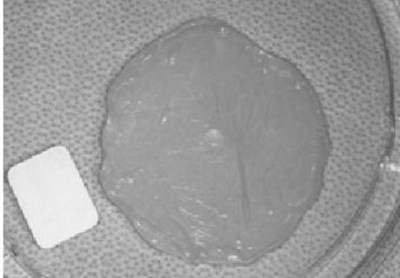 Figure 4 (Gintuit Figure4)