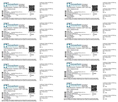 PACKAGE LABEL-PRINCIPAL DISPLAY PANEL-500 mg - levofloxacin fig2