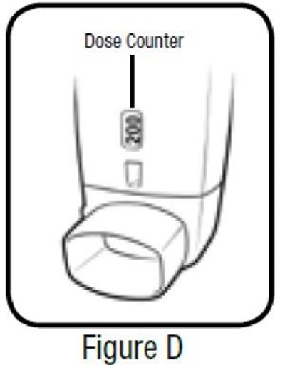 Figure D (Albuterol Sulfate Inhalation Proair 6)