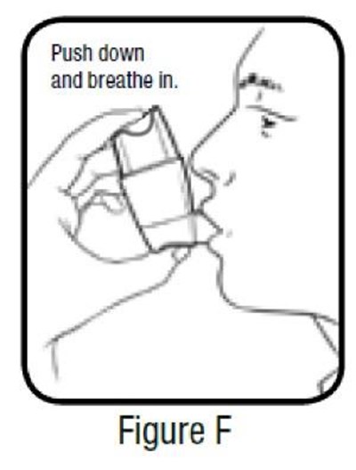 Figure F (Albuterol Sulfate Inhalation Proair 8)