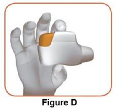 Figure_d (Image 04)