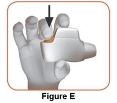 Figure_e (Image 05)