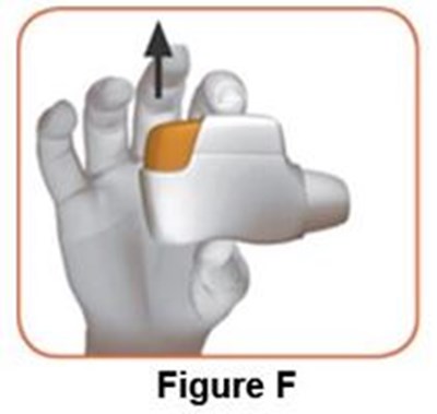 Figure_f (Image 06)