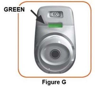 Figure_g (Image 07)
