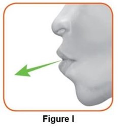 Figure_i (Image 09)