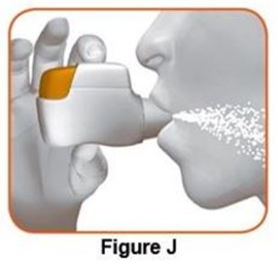 Figure_j (Image 10)
