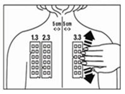 Figure 3 (Truetest 03)