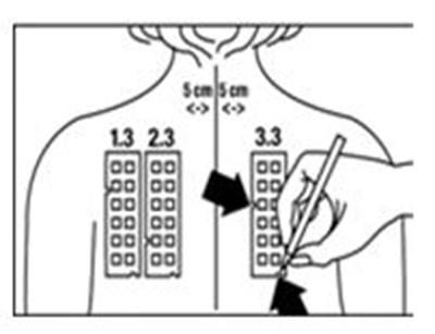 Figure 4 (Truetest 04)