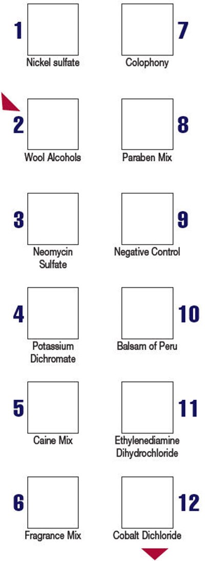 Panel 1.3-1 (Truetest 20)