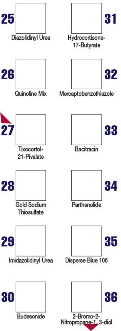 Panel 3.3-1 (Truetest 22)