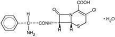 cef0g-0000-01.jpg image description - cef0g 0000 01