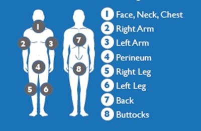 image description - Dir