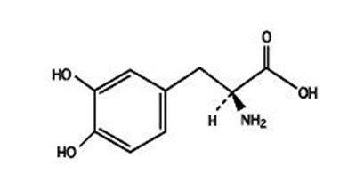 Levo (Levodopa)