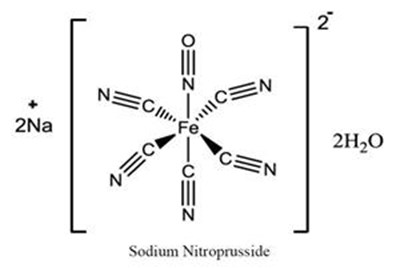 2 - sodium nitroprusside injection 1