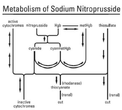 1 - sodium nitroprusside injection 2