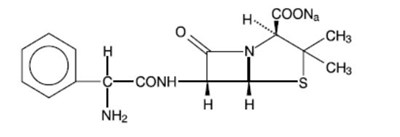 image-01.jpg structure - image 01