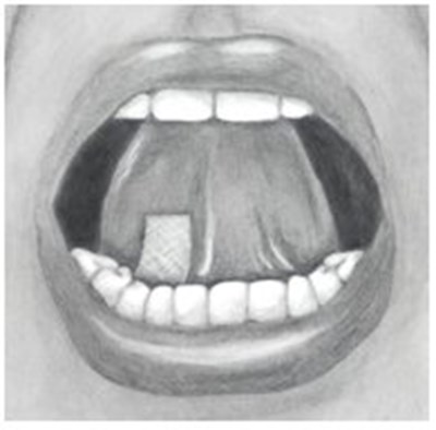 Instructions For Use Figure 2 (Image 08)