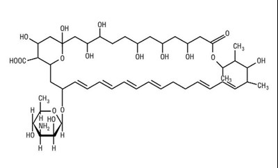 Chemical Structure (Nystatin Chem Stucture)