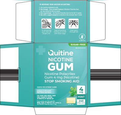 532-qe-nicotine-gum-1.jpg (532 Qe Nicotine Gum 1)
