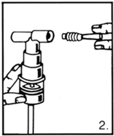 Picture 2 (Image 5)